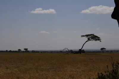 DSC_3586 (Large).JPG